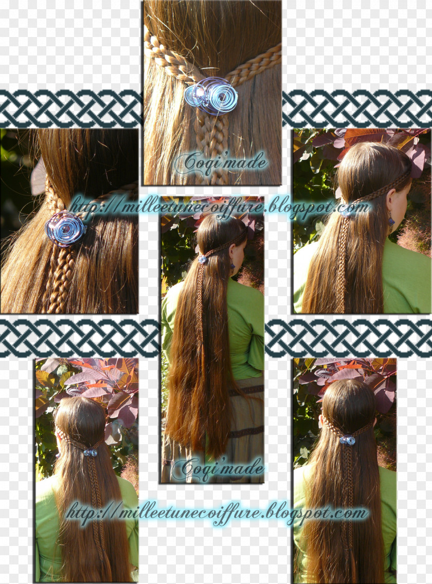 Hair Long Coloring Braid Wig PNG