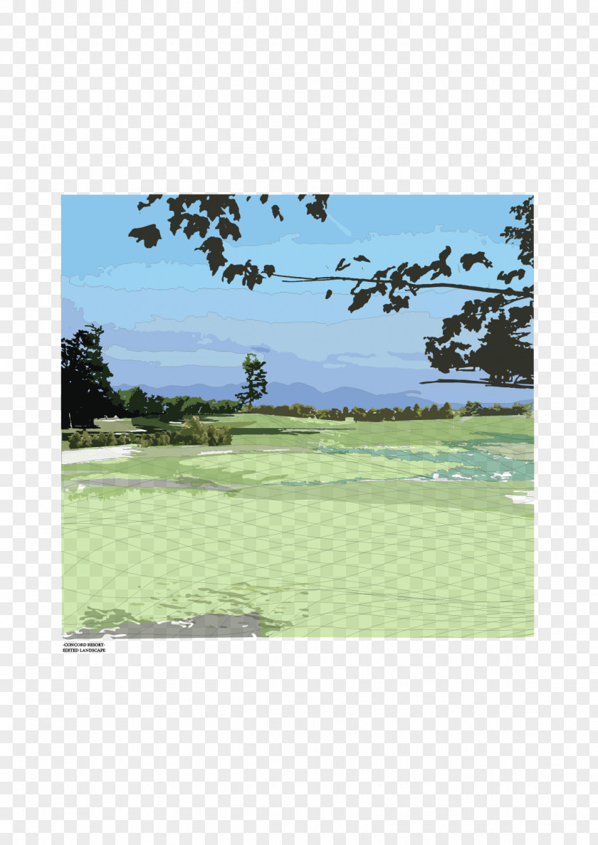 Landscape Architecture Golf Course Equipment Clubs Ecosystem PNG