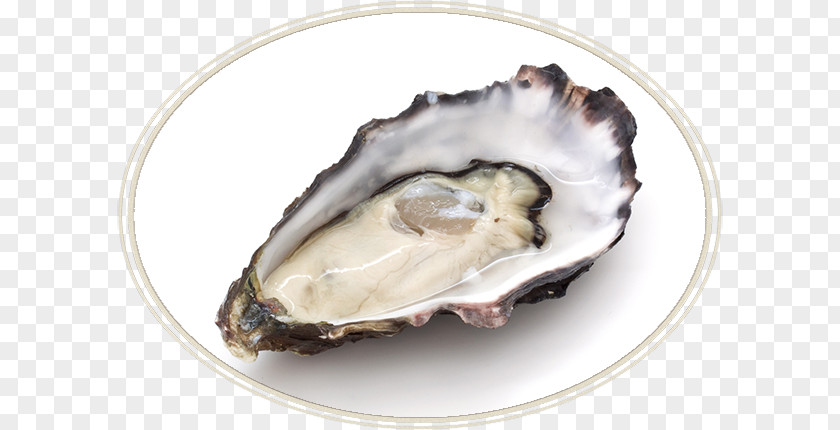 Oyster Pearl Mushroom Clam Seafood PNG