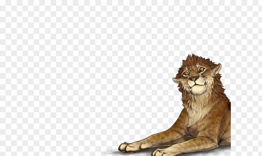 Sunset Lion Felidae Siamese Cat Whiskers Hyena PNG