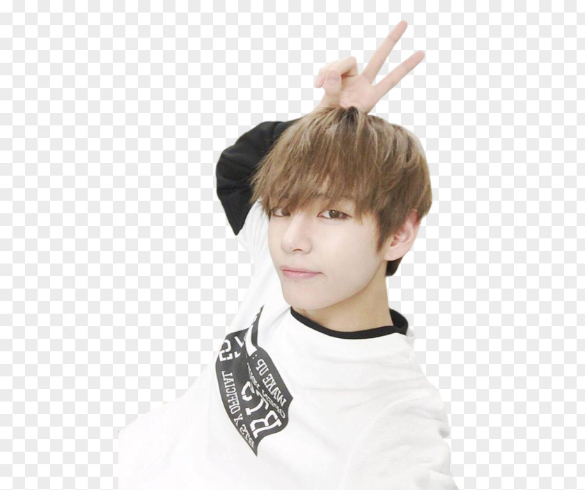 Bts BTS K-pop Butterfly For You PNG