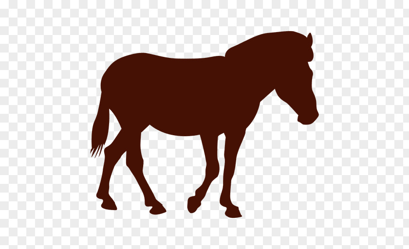 Mustang Mule Silhouette Stallion Pony PNG