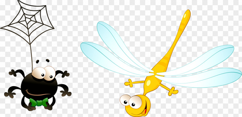 Spider Dragonfly Web Clip Art PNG