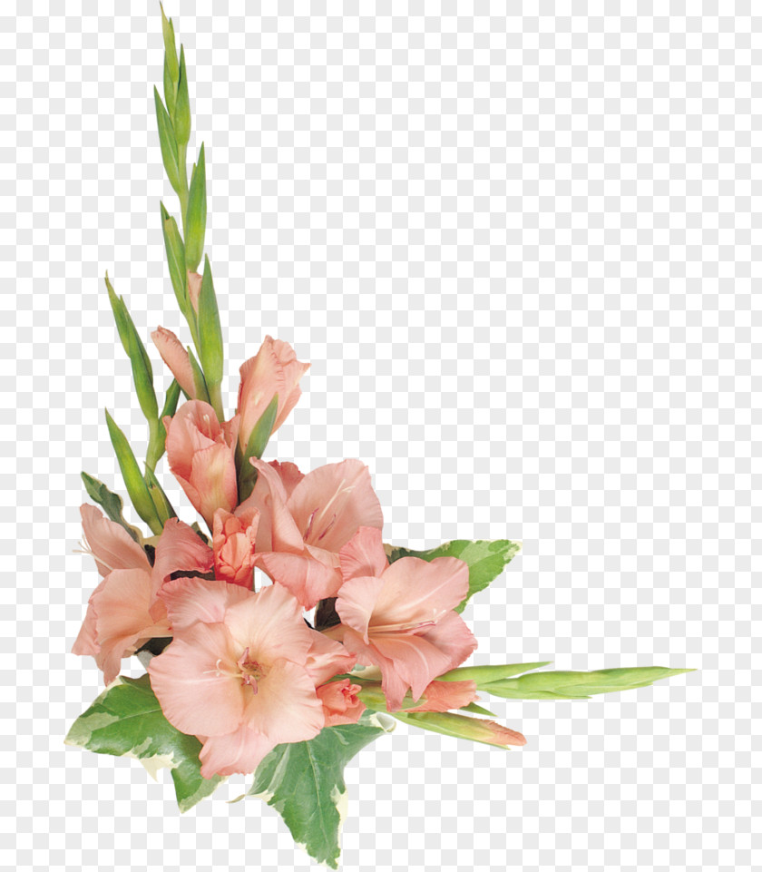 Flower Floral Design Cut Flowers Orchids PNG