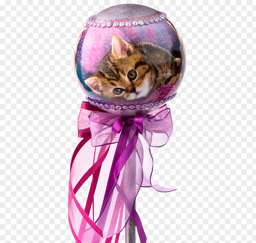Kitten Whiskers PNG
