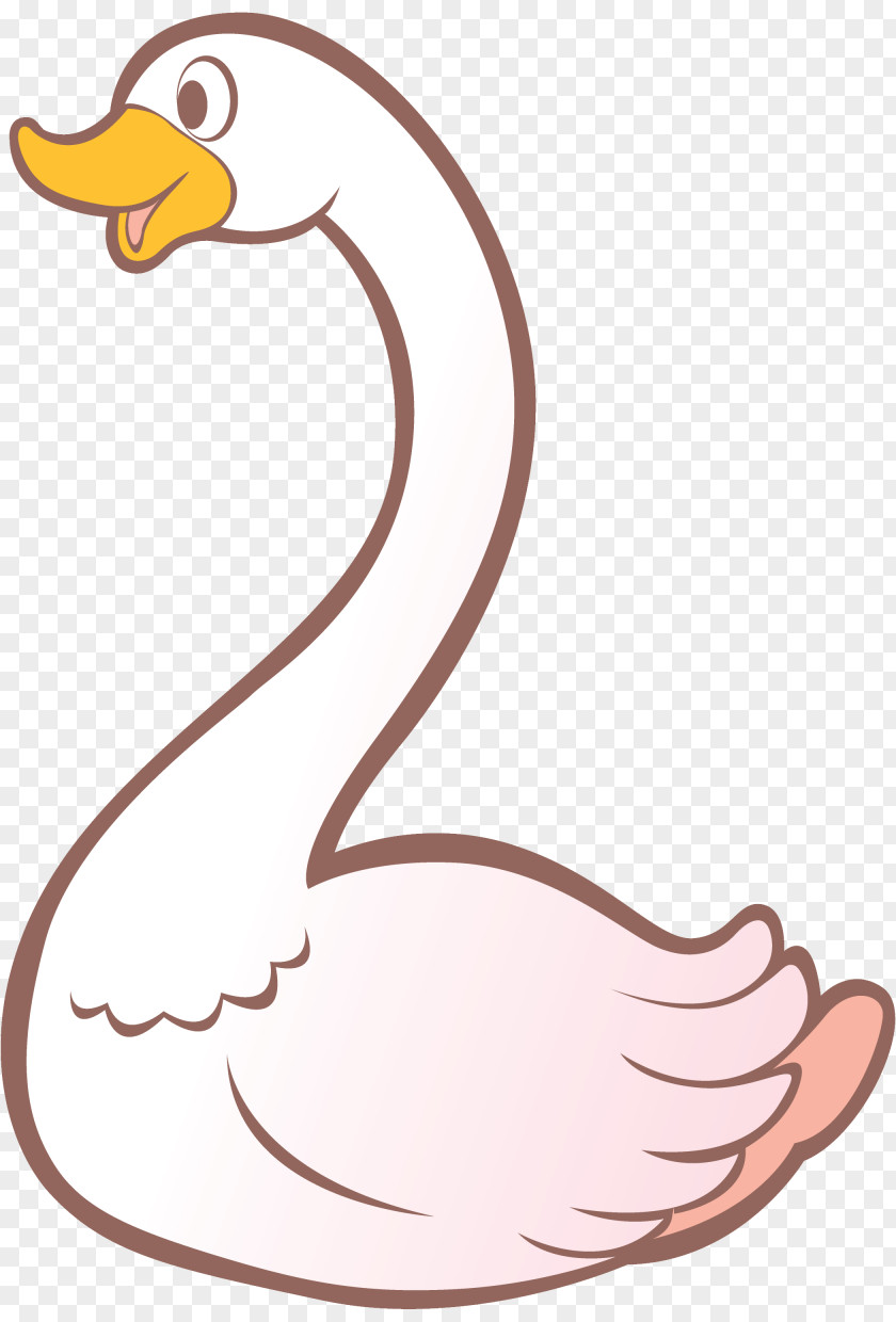 Swan Goose Cygnini Bird Cartoon PNG