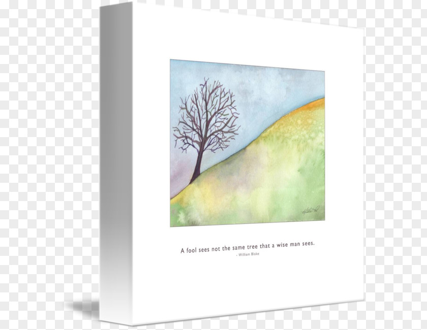 Wise Man Picture Frames Greeting & Note Cards Flower Lavender PNG