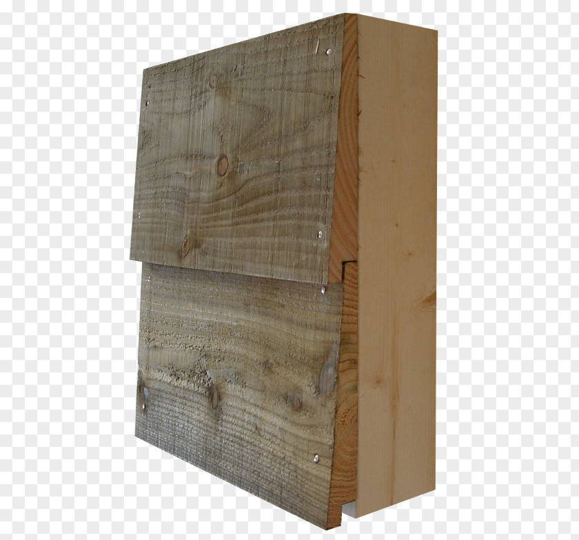Wood Lumber Larix Sibirica Rabat Essence Forestière PNG