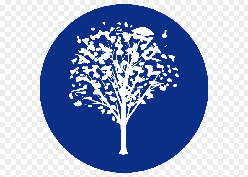 Ash Tree Identification Logo Font Black Leaf Branching PNG