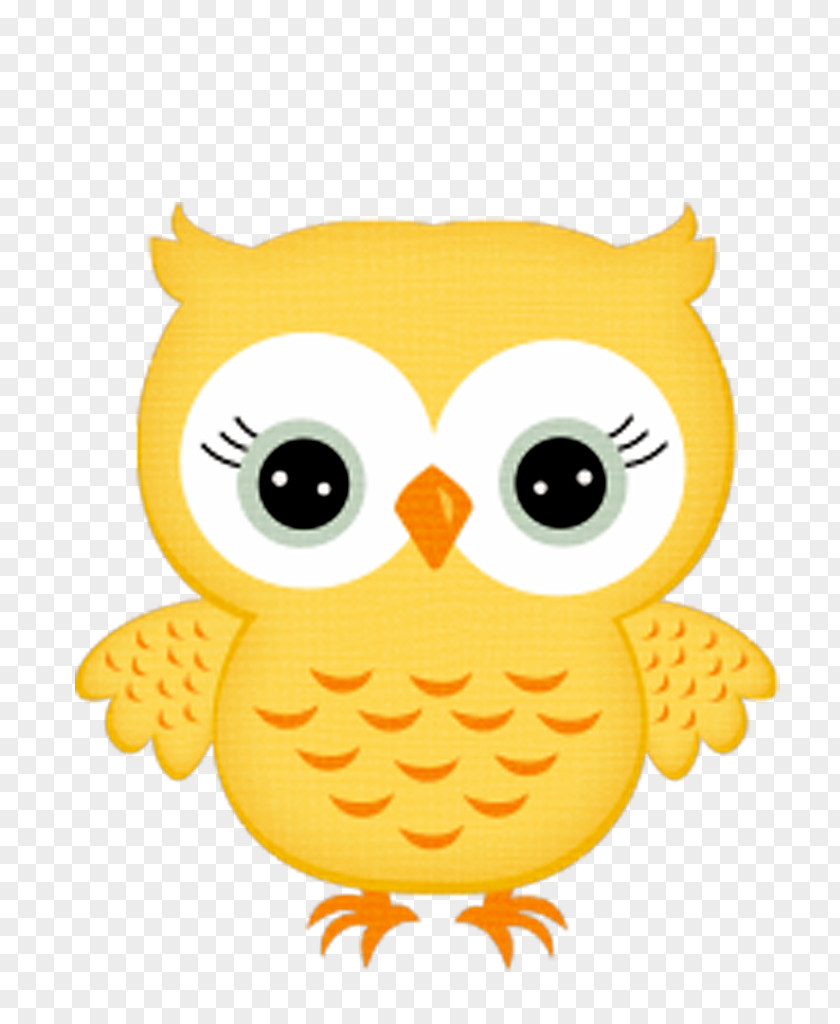 Baby Owls Desktop Wallpaper Clip Art PNG