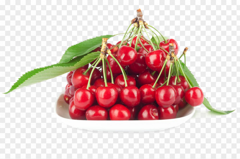 Cherry Organic Food Cranberry PNG