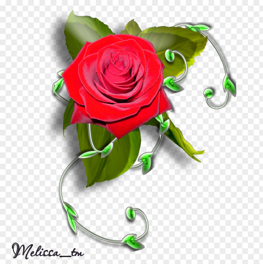 Garden Roses Floral Design Cut Flowers PNG