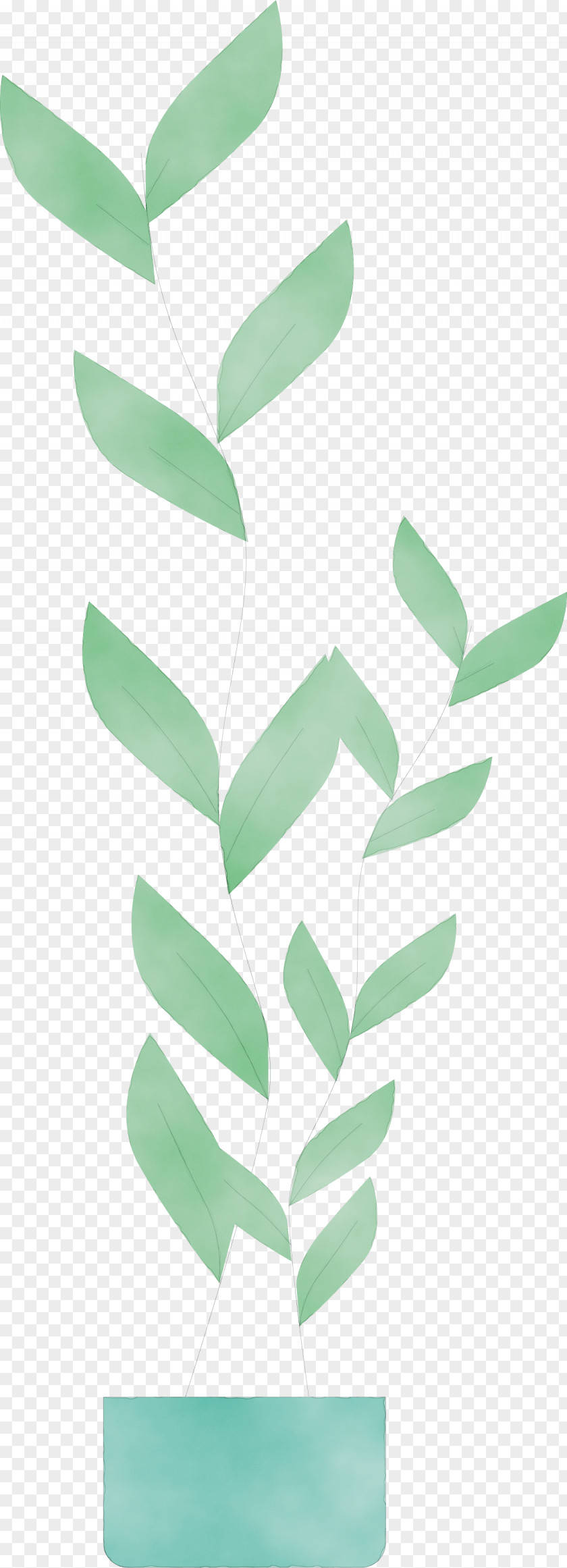 Leaf Green Font Angle Meter PNG