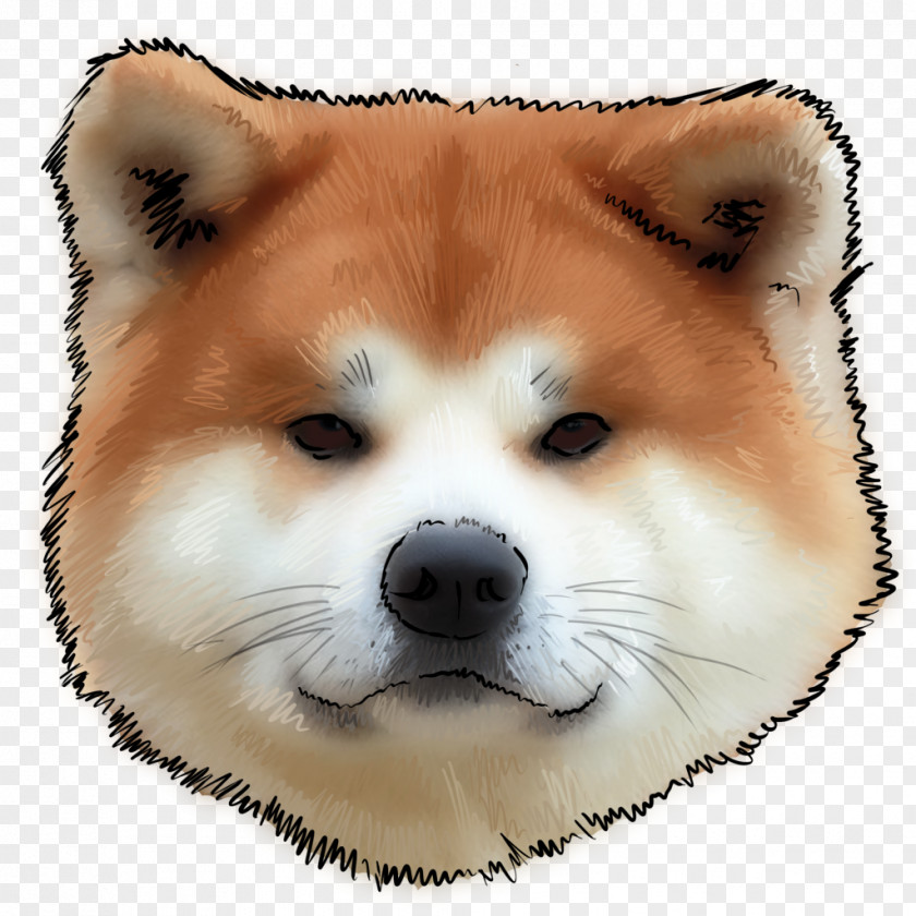 Puppy The Akita Shiba Inu Tosa PNG