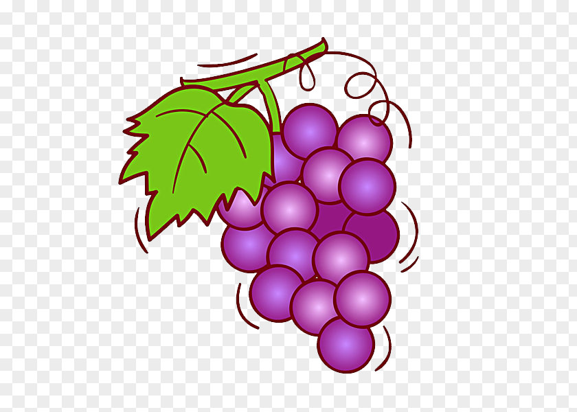 Purple Grape Wine Fruit Illustration PNG