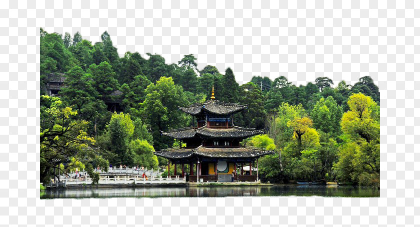 A Small Pavilion Between The Trees On Other Side Of River Chinese Architecture PNG