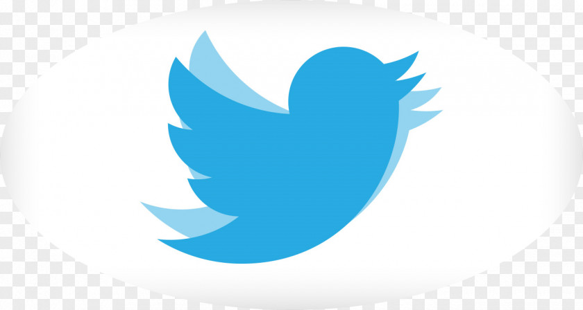 Avatar Social Media Your Bird Android PNG