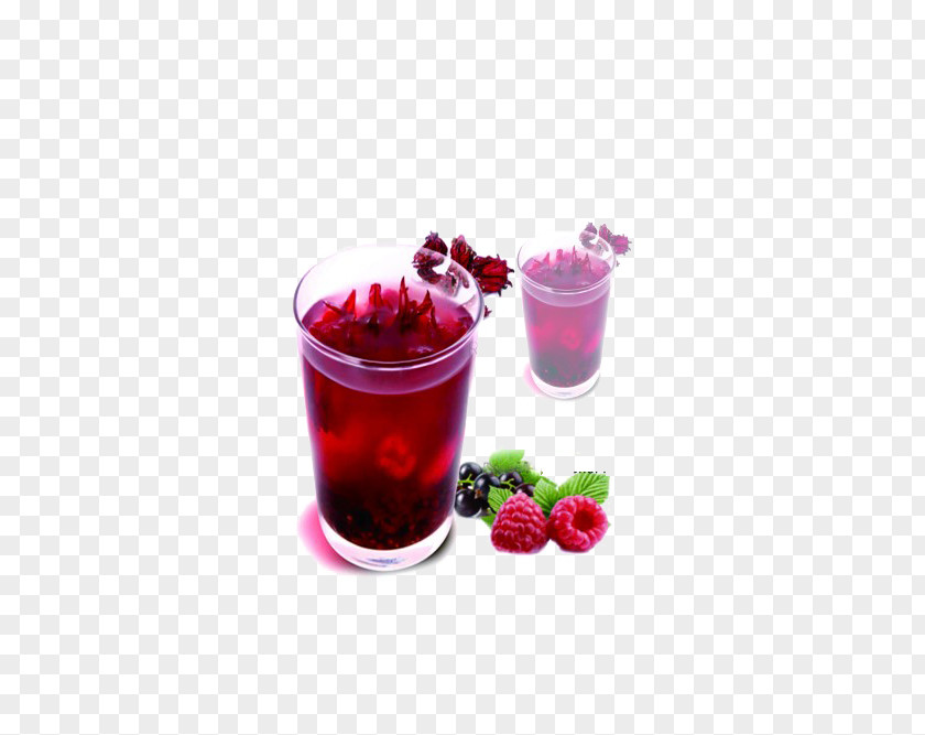 Blueberry Juice Computer File PNG