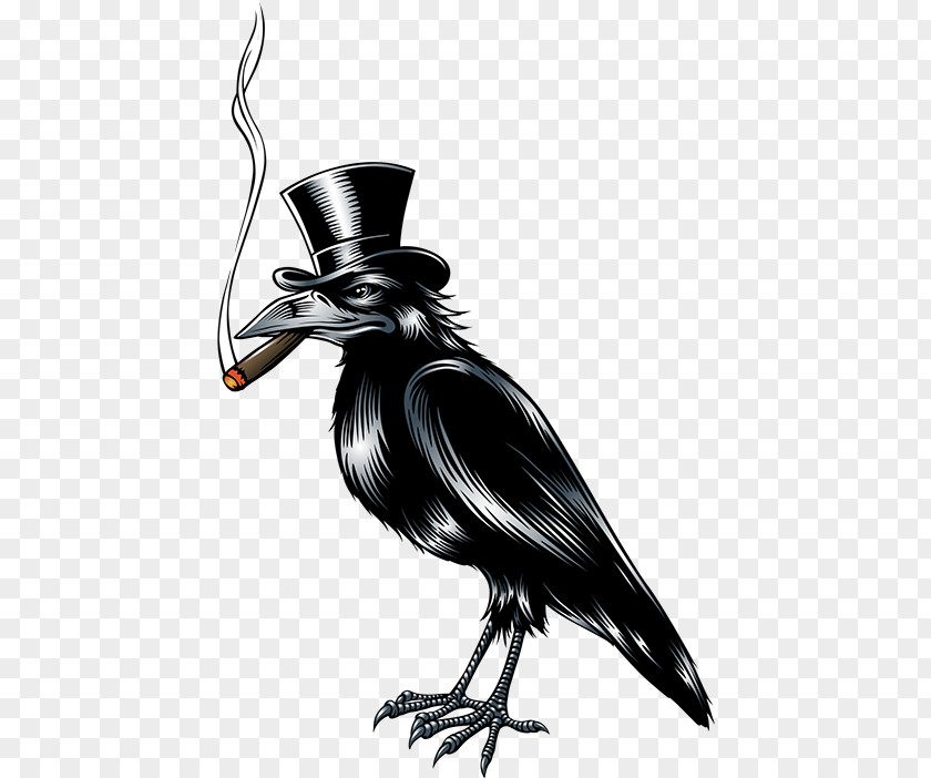 Crow Vector Graphics Clip Art Image Drawing PNG