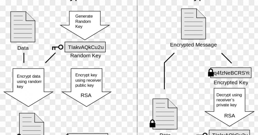 Key Pretty Good Privacy End-to-end Encryption GNU Guard Cryptography PNG