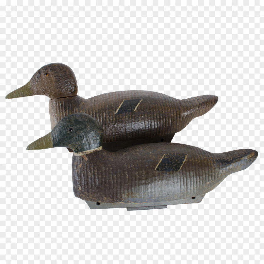 Mallard Duck Silhouette Goose Decoy Northern Pintail PNG