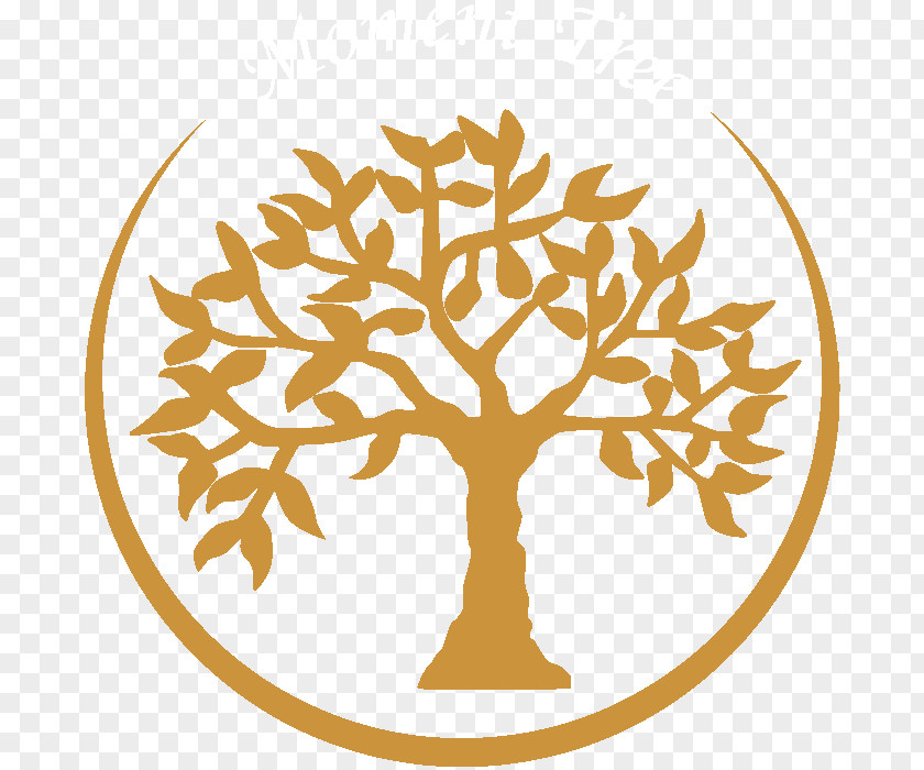 Olive Tree Logo Impressum .de Moment GmbH Web Page Clip Art PNG