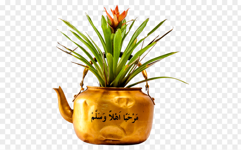 Pineapple Flowerpot PNG