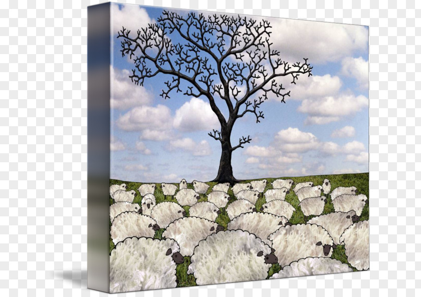 Sheep Gallery Wrap Canvas Art Branching PNG