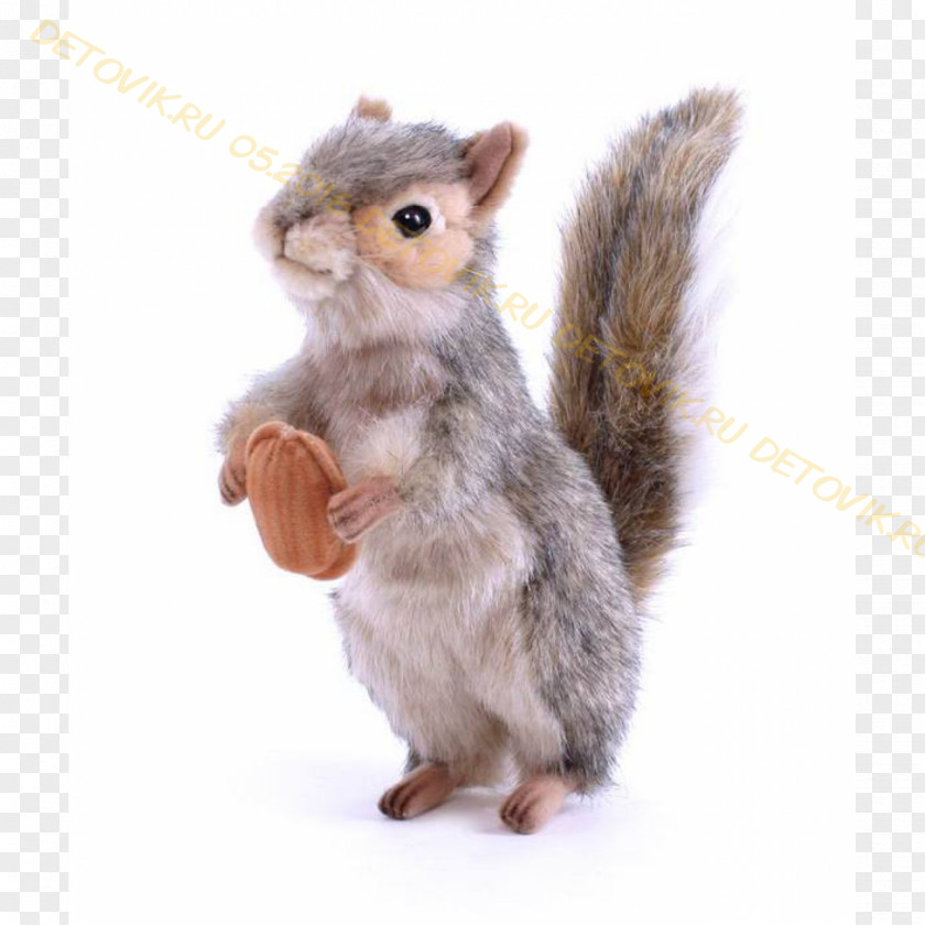 Squirrel Amazon.com Hamleys Stuffed Animals & Cuddly Toys PNG