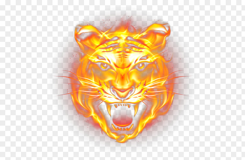 Tiger Fire Flame PNG Flame, HD tiger fierce flames, flame clipart PNG
