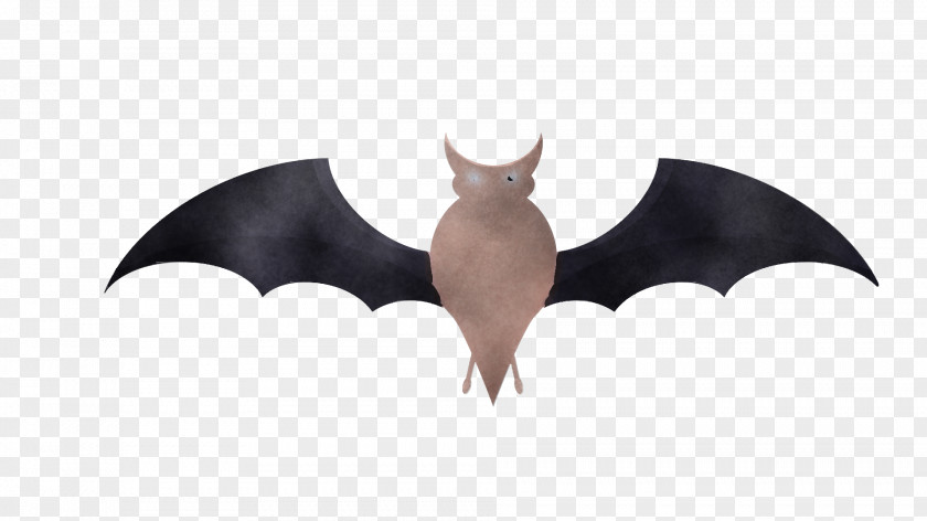 Bats Cartoon Character Beak PNG