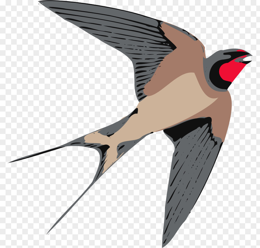 Eflower Swallow Bird Clip Art PNG