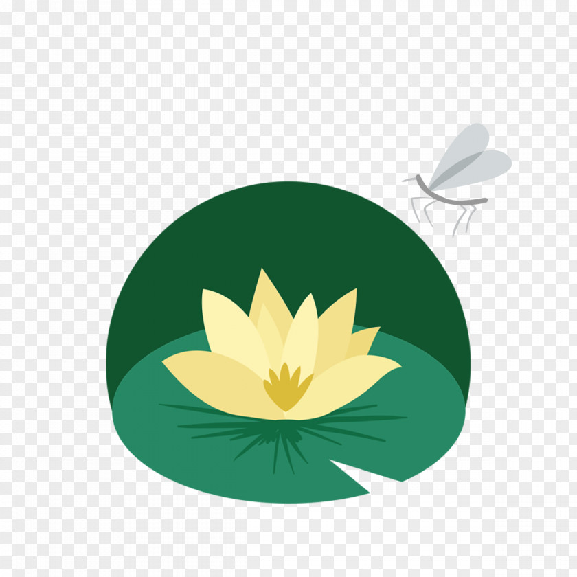 Lotus Leaf Dragonfly Petal Nelumbo Nucifera Clip Art PNG