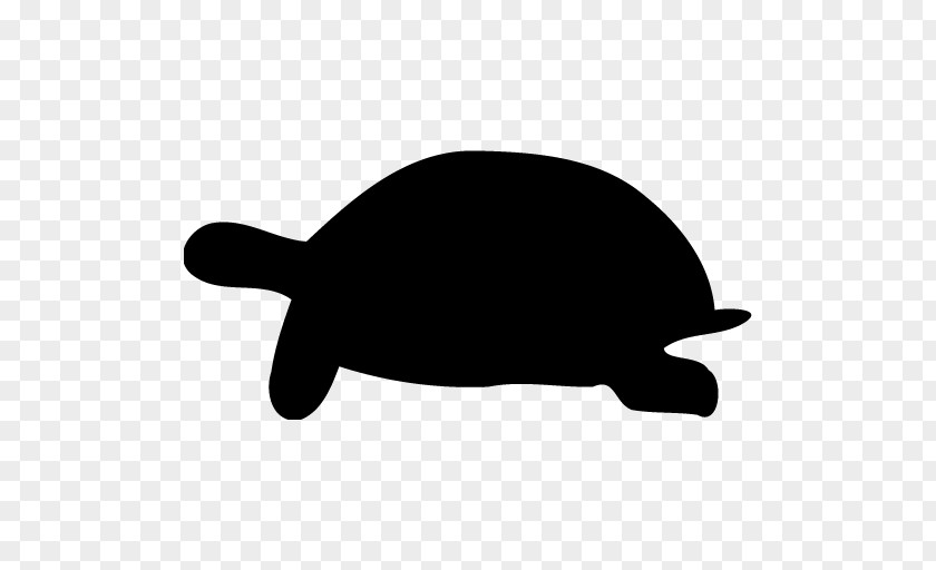 M Clip Art Sea Turtle Black & White PNG