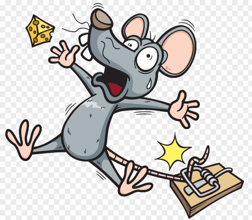 Rat Trap Mouse Trapping PNG