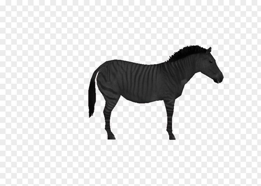 Tycoon Insignia Mustang Mane Rein Stallion Bridle PNG