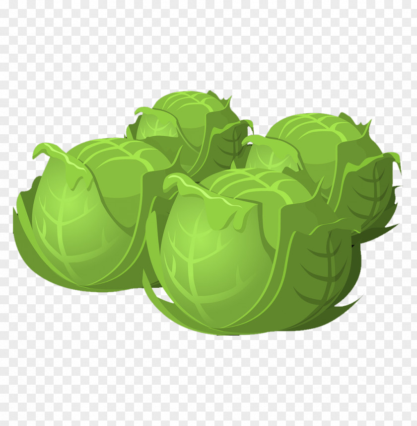 Cartoon Cabbage Must Be Added Daily Vegetable Clip Art PNG