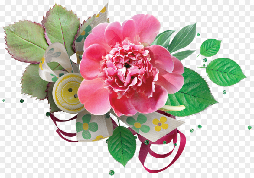 Flower Cabbage Rose Floral Design Petal Cut Flowers PNG