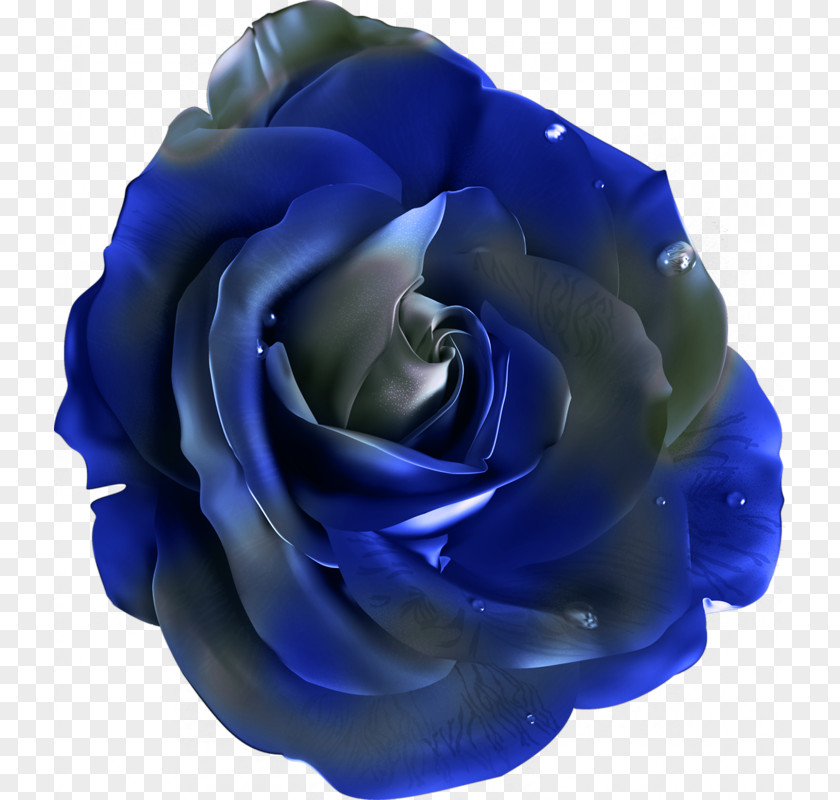 Flower-shaped Buttons Pattern Beach Rose Flower Blue Clip Art PNG
