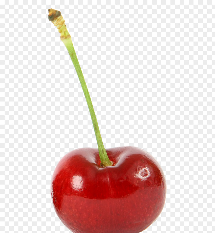 A Red Cherry Blueberry Food Stock.xchng PNG