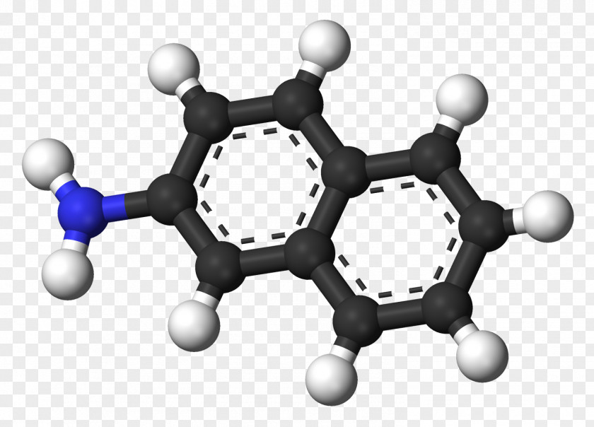 Acyl Carrier Protein 2-Naphthylamine 2-Naphthol Chemical Compound Molecule 1-Naphthylamine PNG