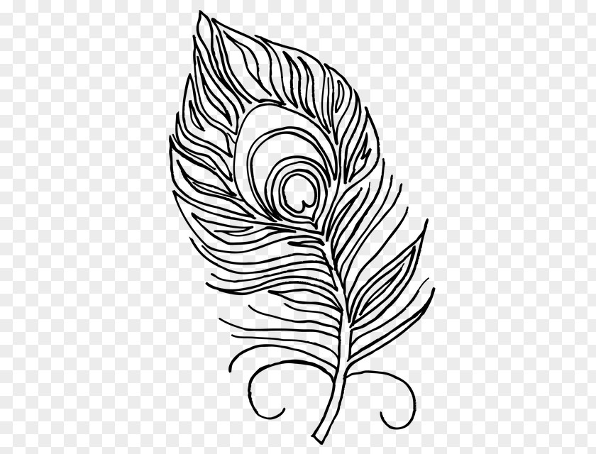 Feather Illustration Coloring Book Pavo Bird PNG