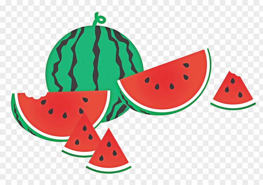 Food Plant Watermelon PNG