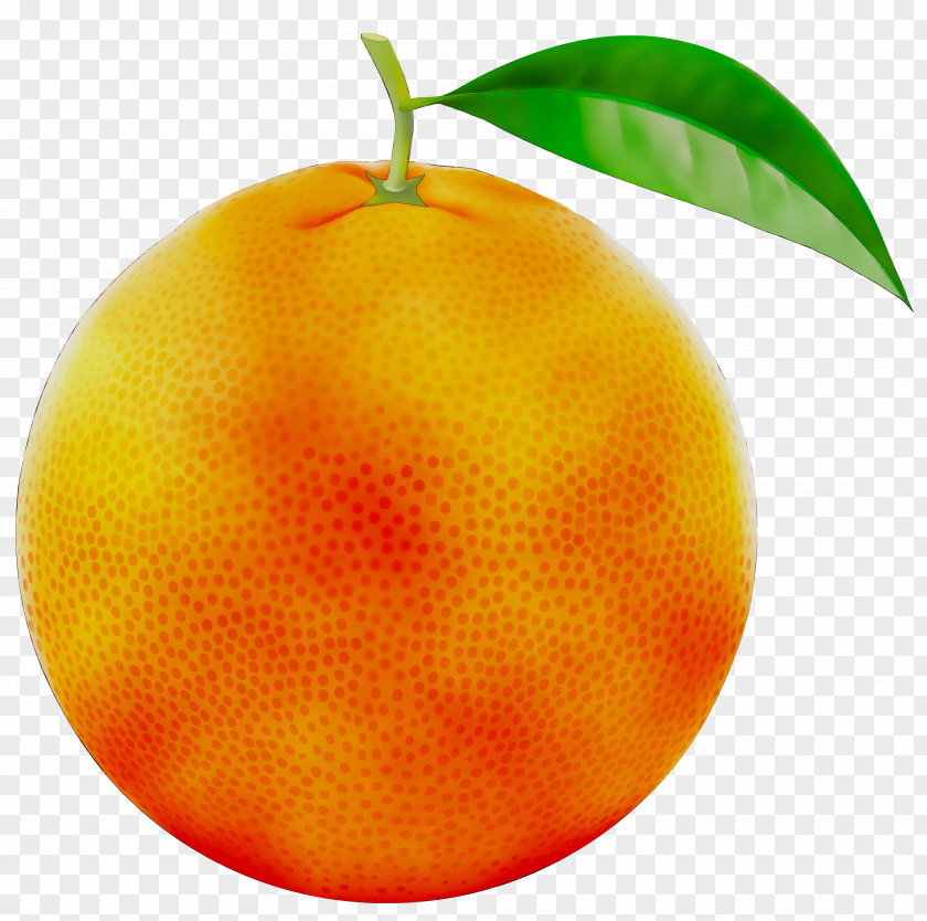 Clementine Tangerine Mandarin Orange PNG