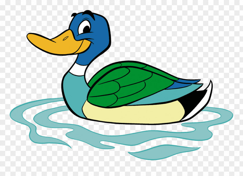 Duck Swimming Pre-school Lessons Child PNG
