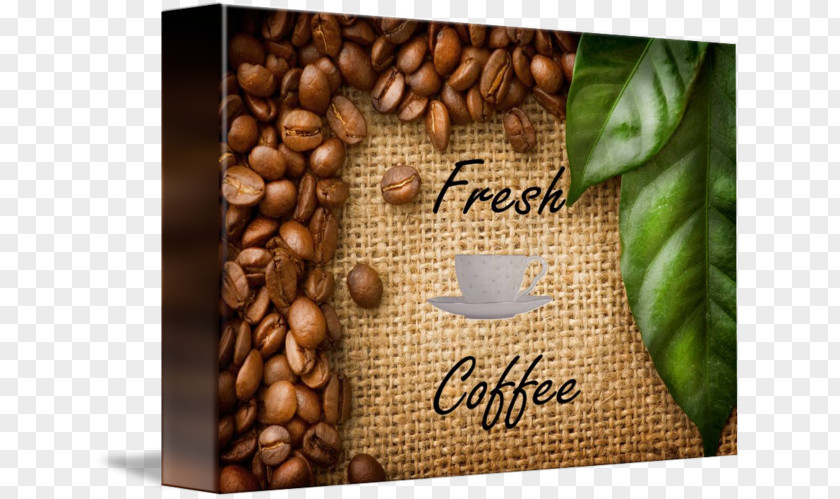 Fresh Coffee Jamaican Blue Mountain Bean Green Extract Stock Photography PNG