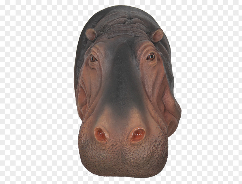 Hippo Pig's Ear Face Nose Snout Head PNG
