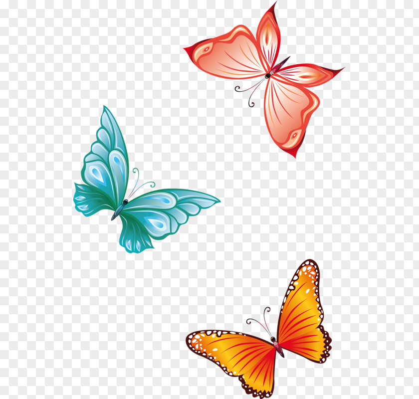 Papillon Butterfly Insect Clip Art PNG