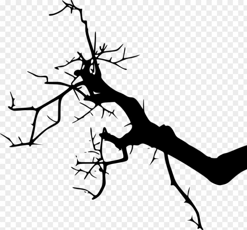 Tree Branch Silhouette Clip Art Image PNG