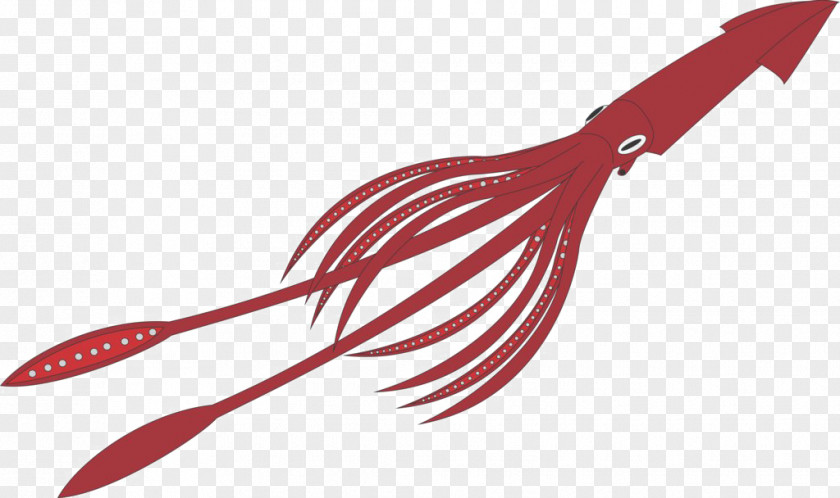 Anomalocaris Flyer Giant Squid Octopus Humboldt Image PNG